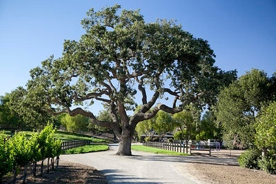 Ranches and Farms 3027