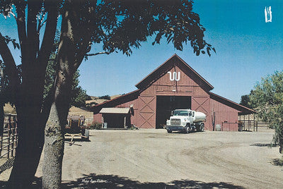 Barns 3498 (Los Olivos)
