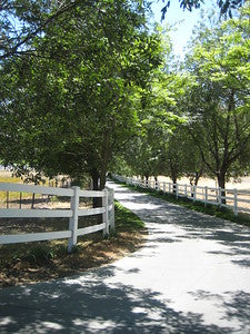 Ranches and Farms 3129