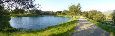Country Houses 0084 (Santa Ynez)