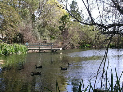 Lakes-Ponds 3063 (SY)
