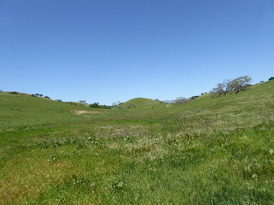 Ranches and Farms 3048