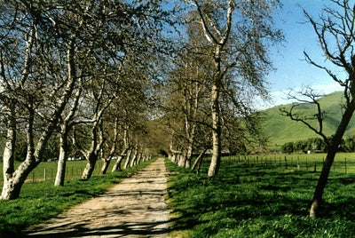 Wineries 3840