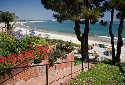 Beach Properties Looks Like Northern California
