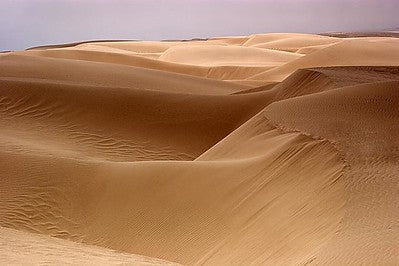Beaches 8170