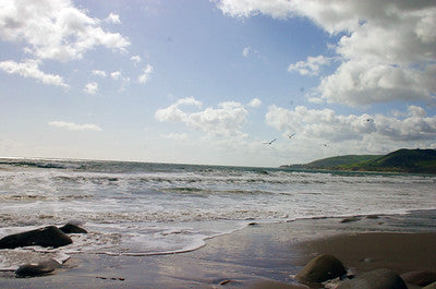 Beaches 8050