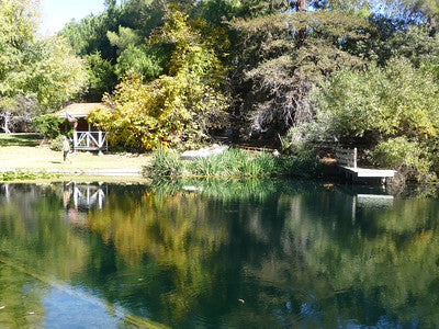 Lakes-Ponds 3063 (SY)