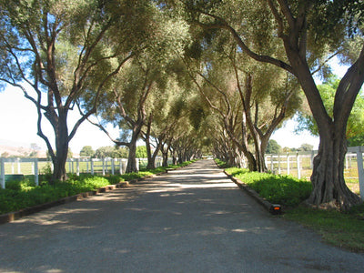 Ranches and Farms 3360