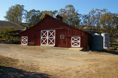Barns 3445 (Goleta)