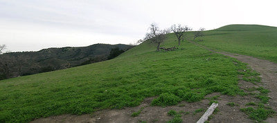 Ranches and Farms 3173