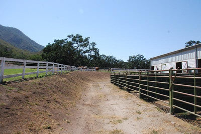 Ranches and Farms 3118