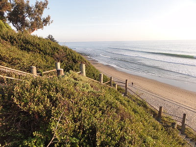 Beaches 8203