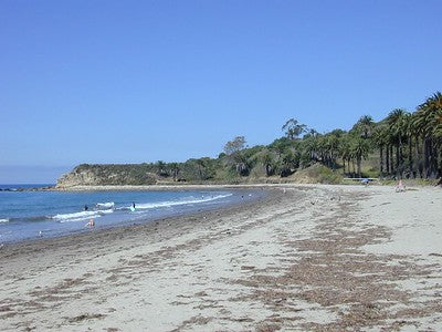 Beaches 8200