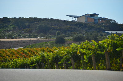 Vineyards & Wineries 1098 (Santa Maria) Roads