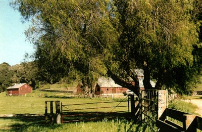 Wineries 3840