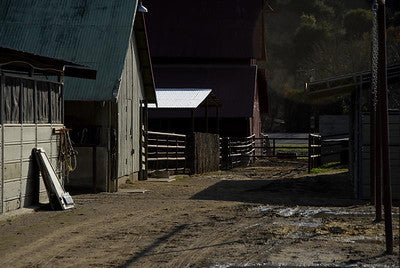 Barns 3498 (Los Olivos)