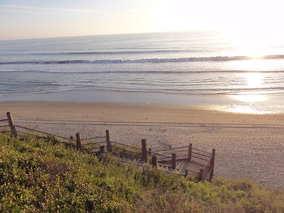 Beaches 8203