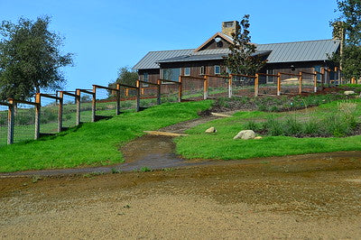 Vineyards & Wineries 1098 (Santa Maria) Private House
