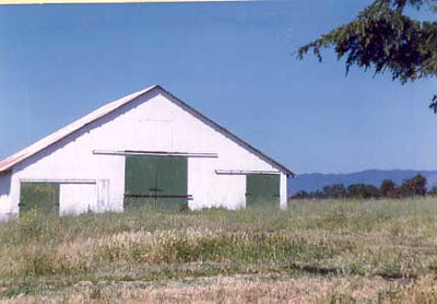Ranches and Farms 3232