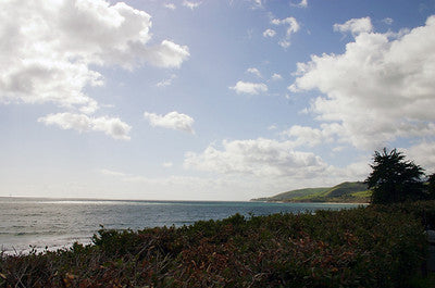 Beaches 8050