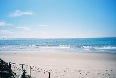 Beach Properties 1616