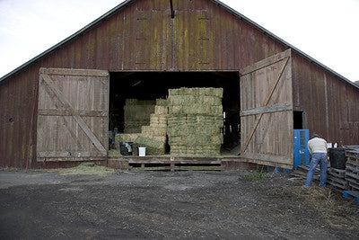Barns 3508 (Lompoc)