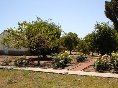 Ranches  Farms 3065