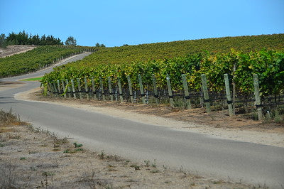Vineyards & Wineries 1098 (Santa Maria) Roads