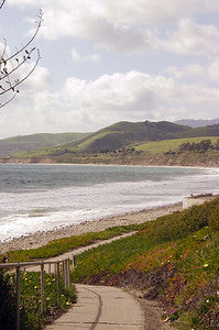 Beaches 8050