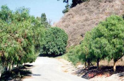 Ranches and Farms 3061