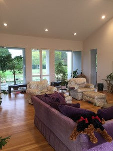 Modern Homes 0152