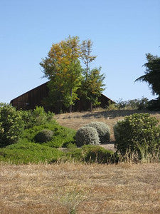Ranches and Farms 3119