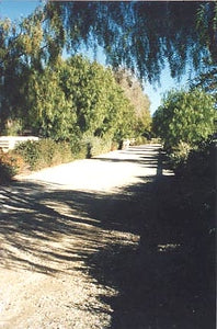 Ranches and Farms 3010