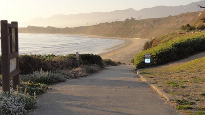 Beaches 8203