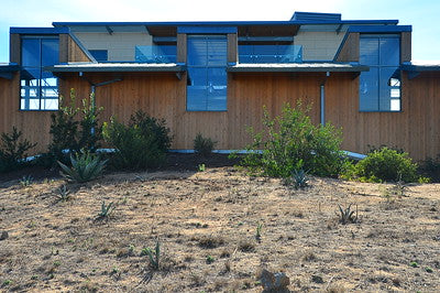 Vineyards & Wineries 1098 (Santa Maria) Winery/Facility