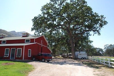 Ranches and Farms 3118