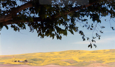 Ranches and Farms 3140