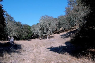 Ranches and Farms 3179