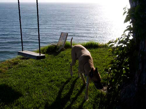 Beach Properties 5999